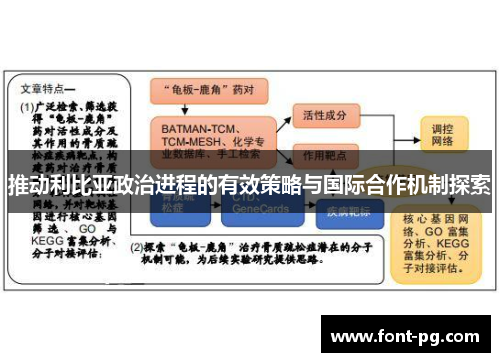 推动利比亚政治进程的有效策略与国际合作机制探索