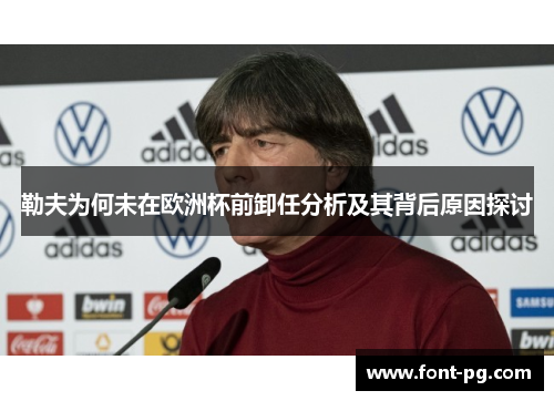 勒夫为何未在欧洲杯前卸任分析及其背后原因探讨