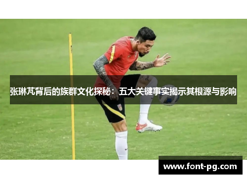 张琳芃背后的族群文化探秘：五大关键事实揭示其根源与影响