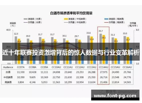 近十年联赛投资激增背后的惊人数据与行业变革解析