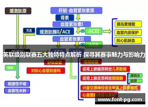 英联级别联赛五大独特特点解析 探寻其赛事魅力与影响力
